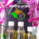 কাস্টার অয়েল